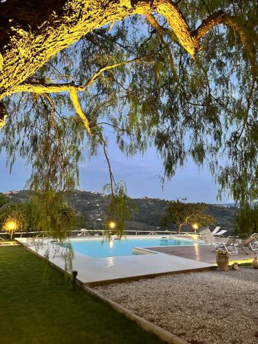 a swimming pool with a tree in the foreground at Villa Le Torrette in Agropoli