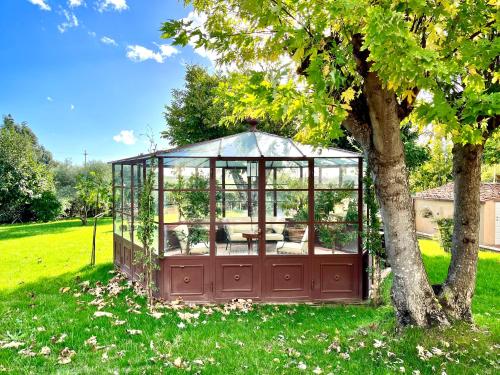 a greenhouse in the grass next to a tree at B&B Ninfeo dell' Arancera in Calci