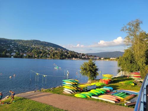 Une bande de bateaux alignés sur la rive d'un lac dans l'établissement Cocon Gérardmer à 5min du Lac, à Gérardmer