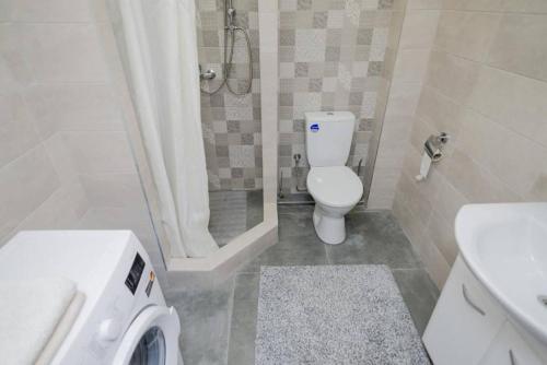 uma casa de banho com um WC, um lavatório e um chuveiro em Central Accommodation em Chisinau
