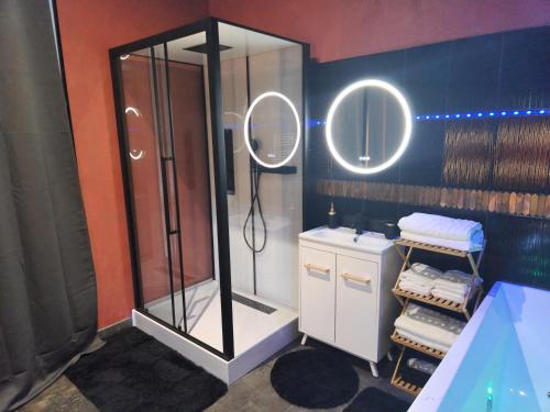 a bathroom with a shower and a sink at Le nid douillet in Chaumuzy