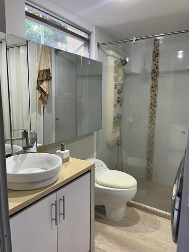 ein Bad mit einem WC, einem Waschbecken und einer Dusche in der Unterkunft Hermoso apartamento ubicado en uno de los mejores sectores de la ciudad in Cali