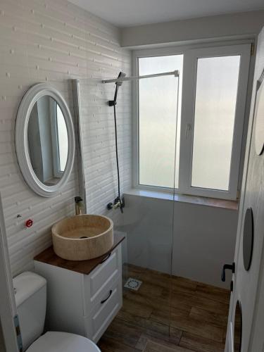 a bathroom with a sink and a mirror at Carol Apartament's in Timişoara