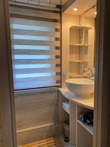 een badkamer met een witte wastafel en een raam bij Domaine du Bonsoy--Azur in Blaimont
