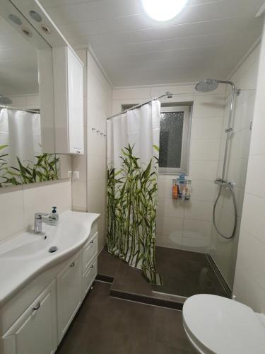 een badkamer met een douche, een wastafel en een toilet bij Privatzimmer an der Universitätsklinik Mainz. Sehr zentral in Mainz