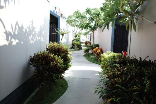 a walkway with plants on the side of a building at Koppie Inn in Xiaoliuqiu
