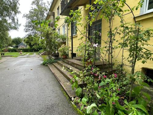 a house with some plants on the side of it at Andrea Apartamenti in Jūrmala