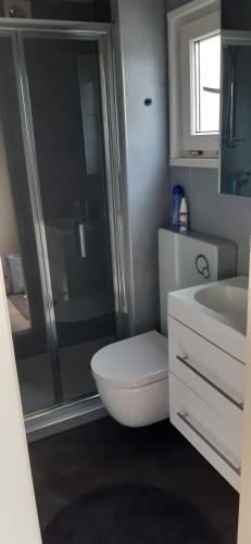 a bathroom with a shower and a toilet and a sink at Chalet Wad Mooi in Buren