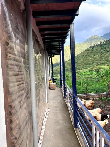 a building with a hallway with sheep on it at Shoonya Home Stay - Devalsari Deodar Forest Range - 60min from Mussoorie in Mussoorie