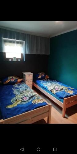 two twin beds in a room with green walls at Mrągowo Pokoje Apartament in Mrągowo