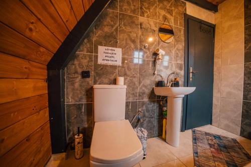 bagno con servizi igienici e lavandino di Lapis bungalov a Sapanca