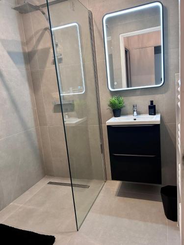 une salle de bain avec une douche, un lavabo et un miroir dans l'établissement Residences Fleuries - behind Cannes Croisette Bvd, à Cannes