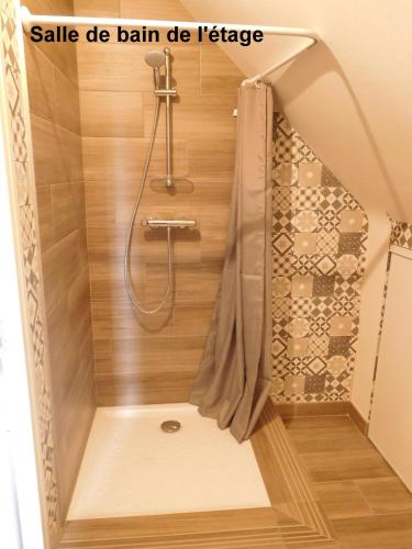 une douche dans une salle de bain avec cabine de douche dans l'établissement La Grange, à Plélan-le-Petit