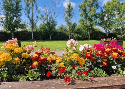 un montón de flores de colores en un parque en Nethercraig Holiday Park, en Alyth