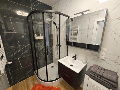 een badkamer met een douche en een wastafel bij MICHALCZYKA APARTAMENT in Wrocław