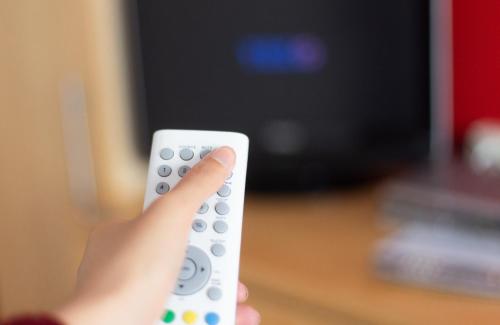 a person holding a remote control in front of a television at Wohlfühlwelt Riegler in Allentsteig