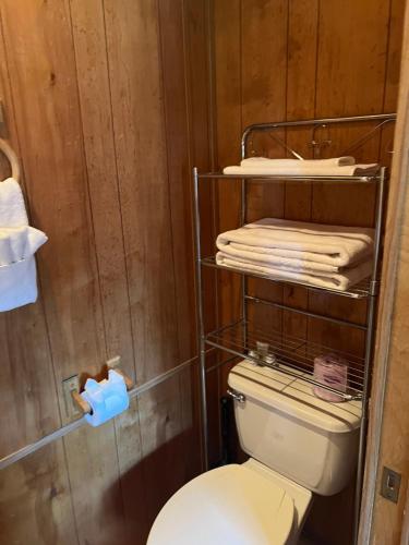 a bathroom with a white toilet and some towels at Stampede RV B&B in Tombstone