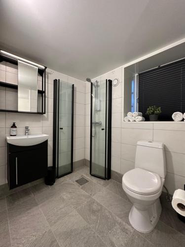 ein Bad mit einem WC und einem Waschbecken in der Unterkunft A Place To Stay Stavanger, apartment 1 in Stavanger