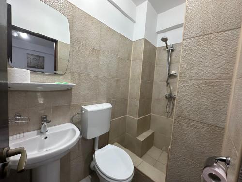 uma casa de banho com um WC, um lavatório e um espelho. em Casa Rustic cazare em Piteşti