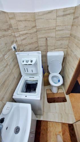 a small bathroom with a toilet and a sink at Cristina's place Arad in Arad