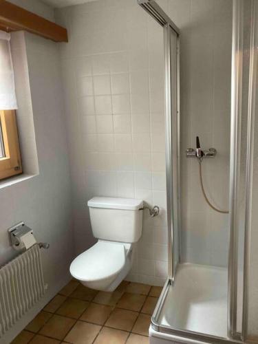 a bathroom with a toilet and a shower at Appartement at the heart of Saas Fee in Saas-Fee