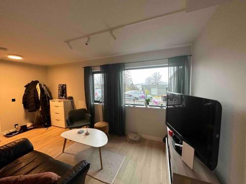 TV a/nebo společenská místnost v ubytování Brand New and Central in Tromsø