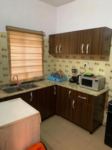 eine Küche mit einer Spüle und einer Mikrowelle auf der Theke in der Unterkunft Jesam House in Suru Lere