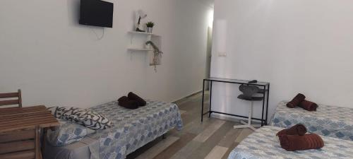 a living room with two beds and a television at SERRANO Home in Valencia