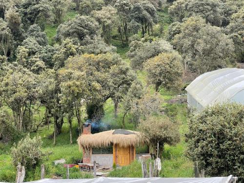 a small hut with a thatch roof in a field at Quinde Ñan Lodge in Papallacta