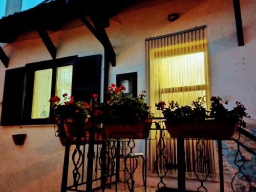 two potted plants on a table in front of a house at Casa Hemingway - Casa Vacanze in Barisciano