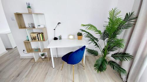 a desk with a blue chair and a plant in a room at Apartament Żurawia in Radom