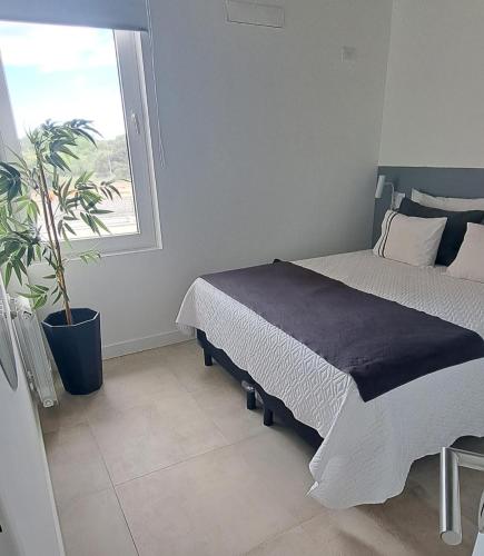 a bedroom with a bed and a potted plant at Departamento frente al mar en Monte Hermoso in Monte Hermoso
