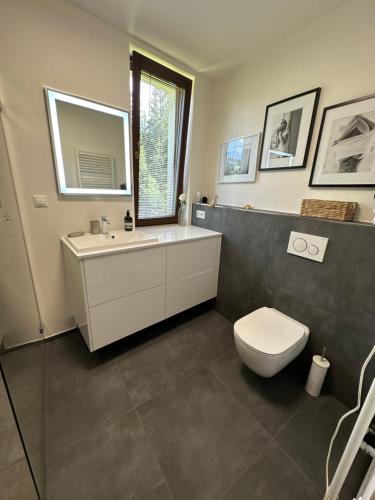 een badkamer met een wit toilet en een wastafel bij Apartman 4 kuny Tále in Horná Lehota