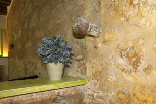 a plant in a pot on a wall with a faucet at Guest House La Casetta in Piazza Armerina