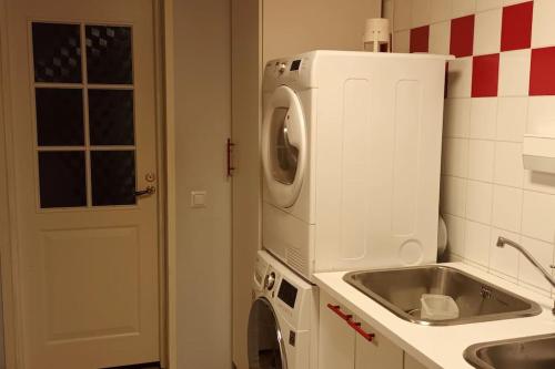 eine Küche mit einer Waschmaschine neben einer Spüle in der Unterkunft Atmospheric house on riverbank in Rovaniemi