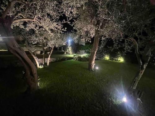 Κήπος έξω από το Luxury central Villa with pool and privacy