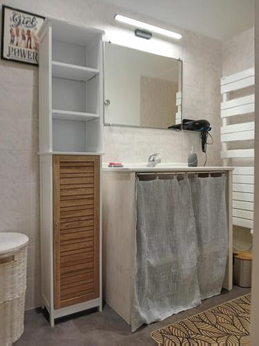 une salle de bain avec un lavabo et un miroir dans l'établissement Maison 2 chambres, à Saint-Palais-sur-Mer