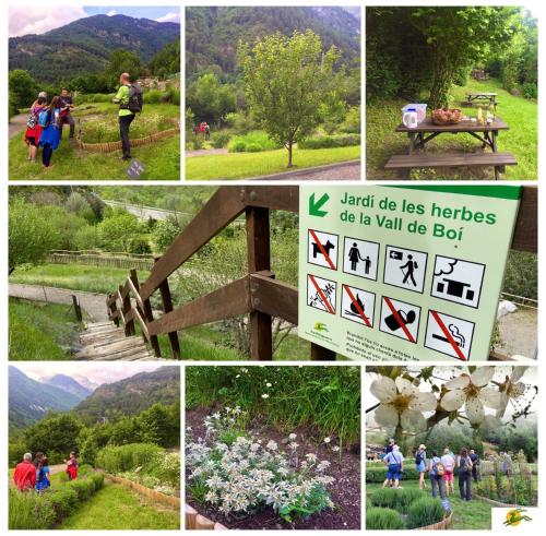 a collage of pictures of people in the mountains at Apartaments la Peguera in Bohí