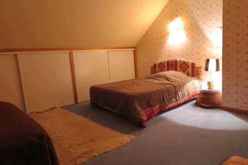 een slaapkamer met een bed met een lamp en een tapijt bij Magnifique maison en balcon sur la Durance in Embrun