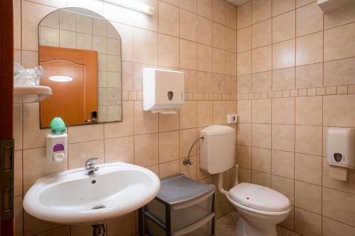 a bathroom with a sink and a toilet and a mirror at Penzion Kovac in Radovljica