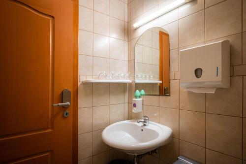 a bathroom with a sink and a mirror at Penzion Kovac in Radovljica
