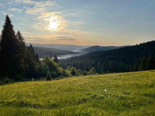 a field of green grass with a view of a valley at Helle gemütliche Ferienwohnung in Schwarzwaldhof in Ibach