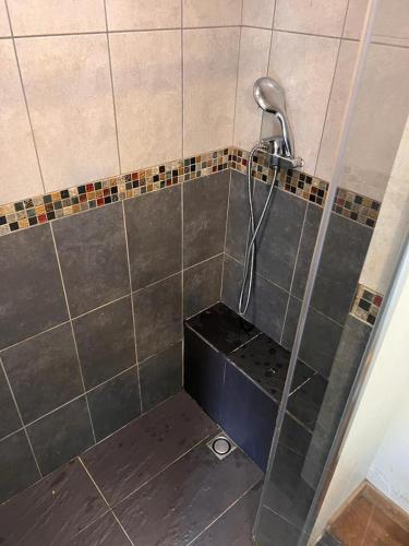 une douche avec pommeau de douche dans une salle de bain dans l'établissement Chambre privée Toulouse proche métro et rocade, à Toulouse