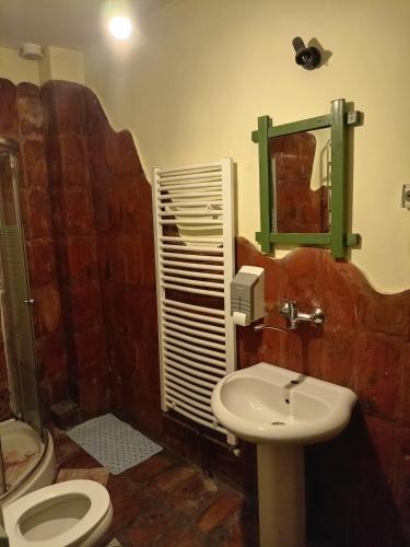 a bathroom with a sink and a toilet and a mirror at BUMBAR ETNO DVORAC in Tekija