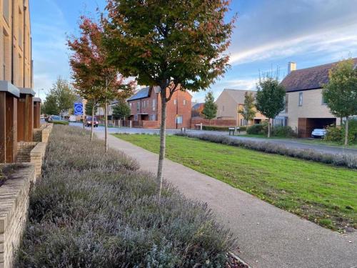 a small tree on the side of a sidewalk at Homely, Cosy & Contemporary 4 BDR house with Garden & Parking 5 mins drive to Addenbrookes & Papworth hospitals & Bio Medical campus in Cambridge