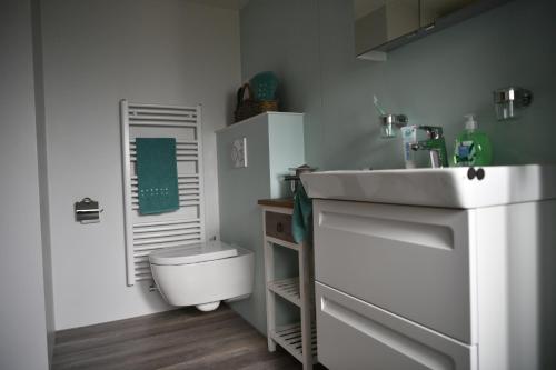 a bathroom with a white sink and a toilet at Ferienhaus auf dem Lamahof in Stalden