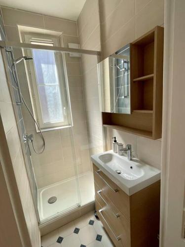 une salle de bain avec douche et lavabo dans l'établissement T3 de charme au centre de Clermont, à Clermont-Ferrand