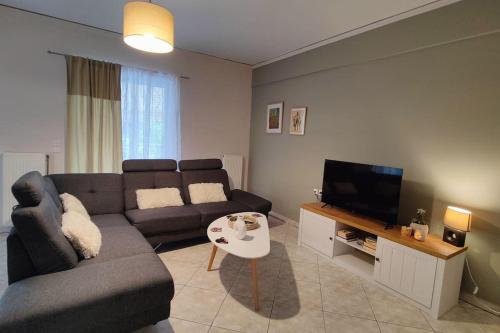 ein Wohnzimmer mit einem Sofa und einem TV in der Unterkunft Artaki's balcony in Nea Artaki