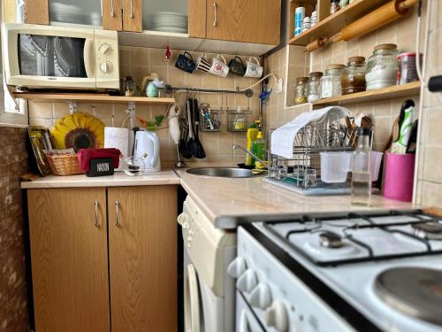 Η κουζίνα ή μικρή κουζίνα στο Apartman Sunce
