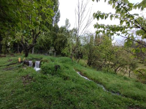 a small stream in a field with trees at HOSTEL EL LIMON in El Bolsón